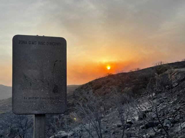 An area affected by the Baldomar fire in Artesa de Segre (Courtesy of Ariadna Borrell Miret)